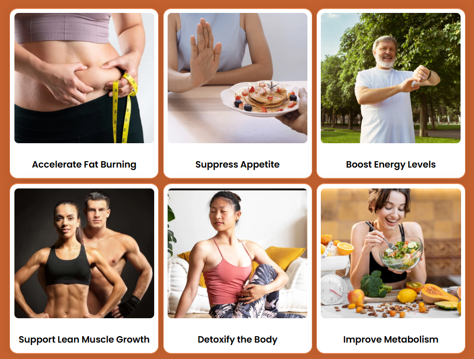 AlkaBurn Benefits